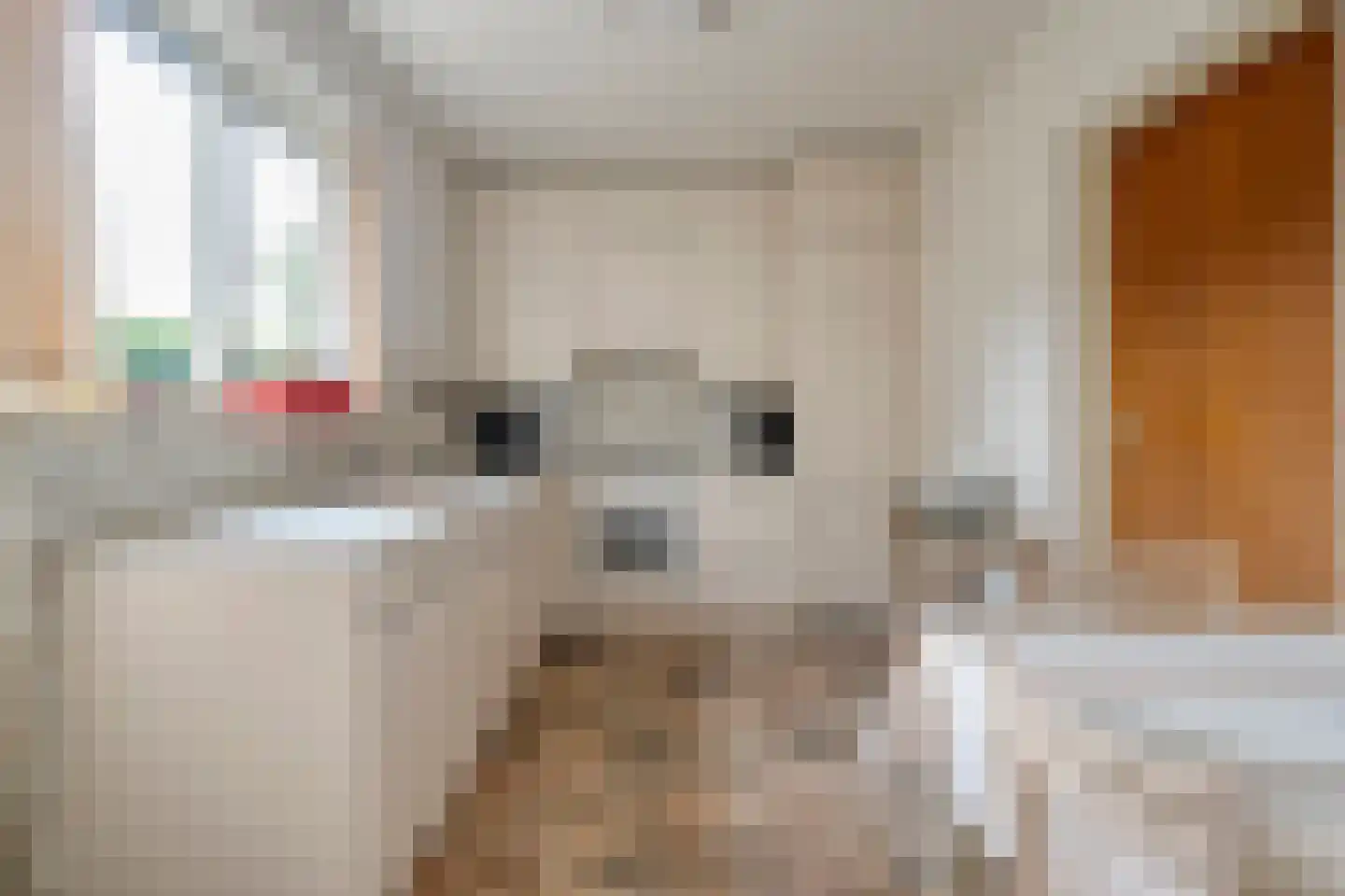 Pieter Jochemswal 10 Ruinerwold thumbnail 15