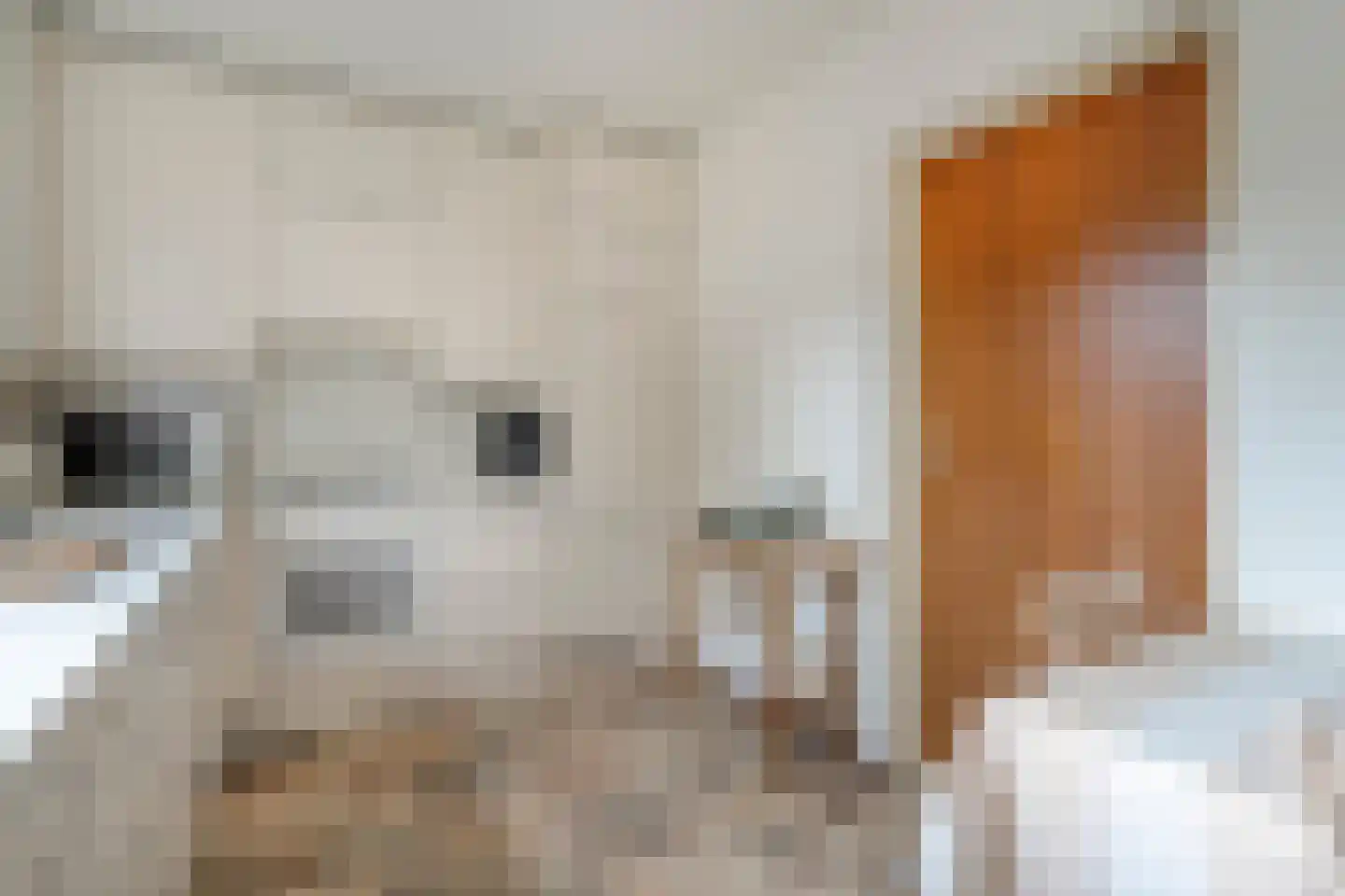 Pieter Jochemswal 10 Ruinerwold thumbnail 16