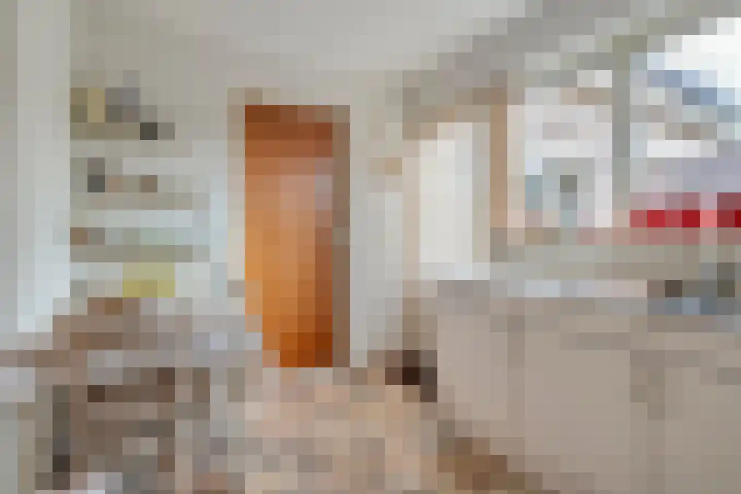 Pieter Jochemswal 10 Ruinerwold thumbnail 17