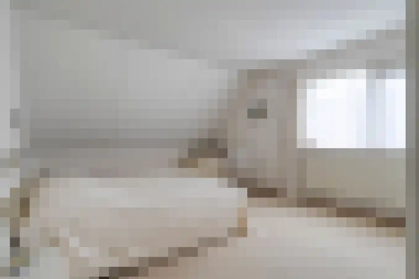 Pieter Jochemswal 10 Ruinerwold thumbnail 26