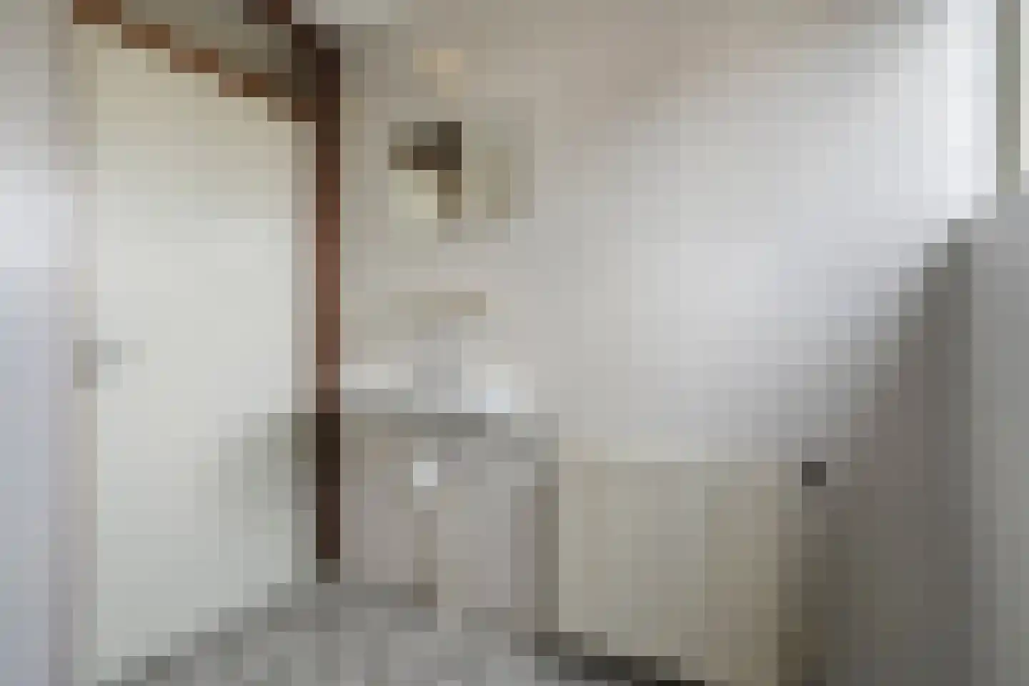 Pieter Jochemswal 10 Ruinerwold thumbnail 29