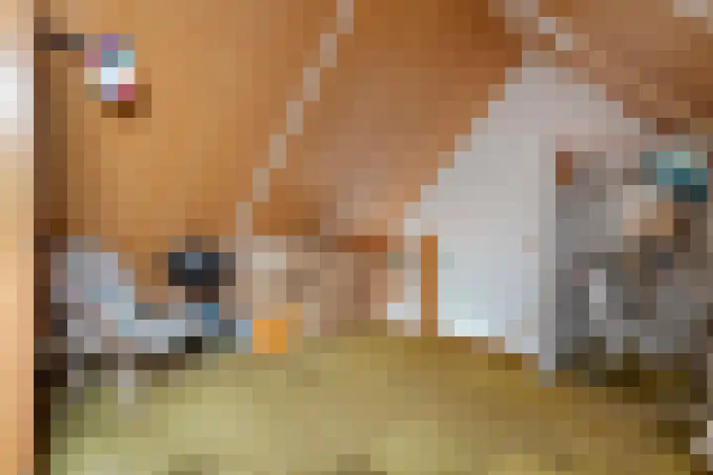 Pieter Jochemswal 10 Ruinerwold thumbnail 36