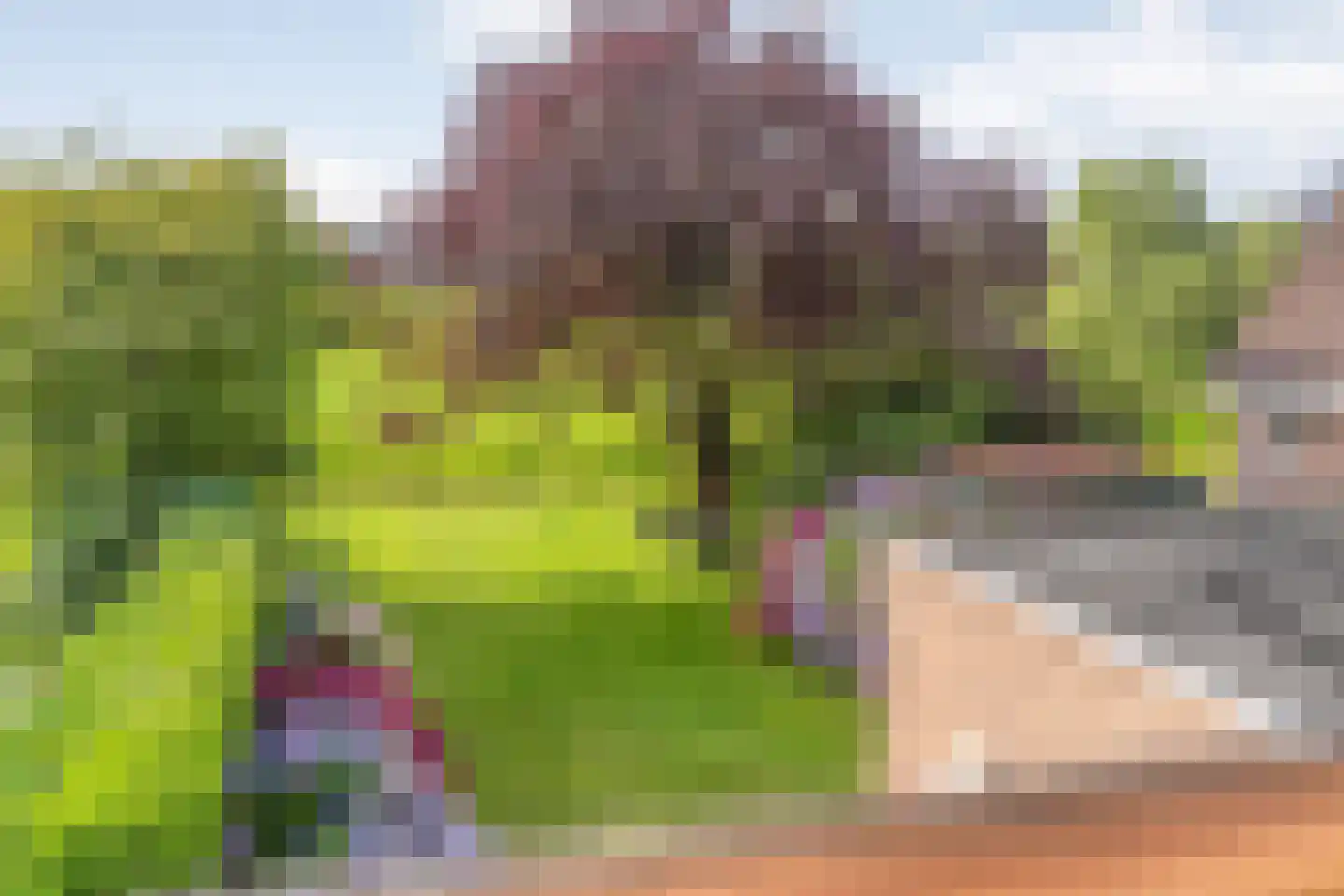 Pieter Jochemswal 10 Ruinerwold thumbnail 37