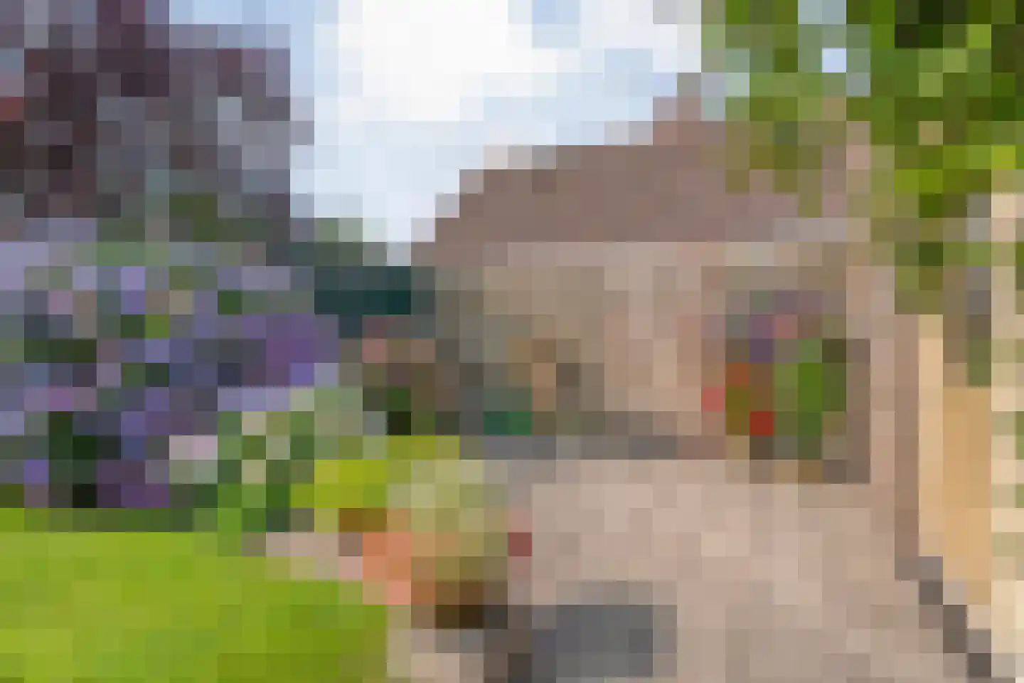 Pieter Jochemswal 10 Ruinerwold thumbnail 43