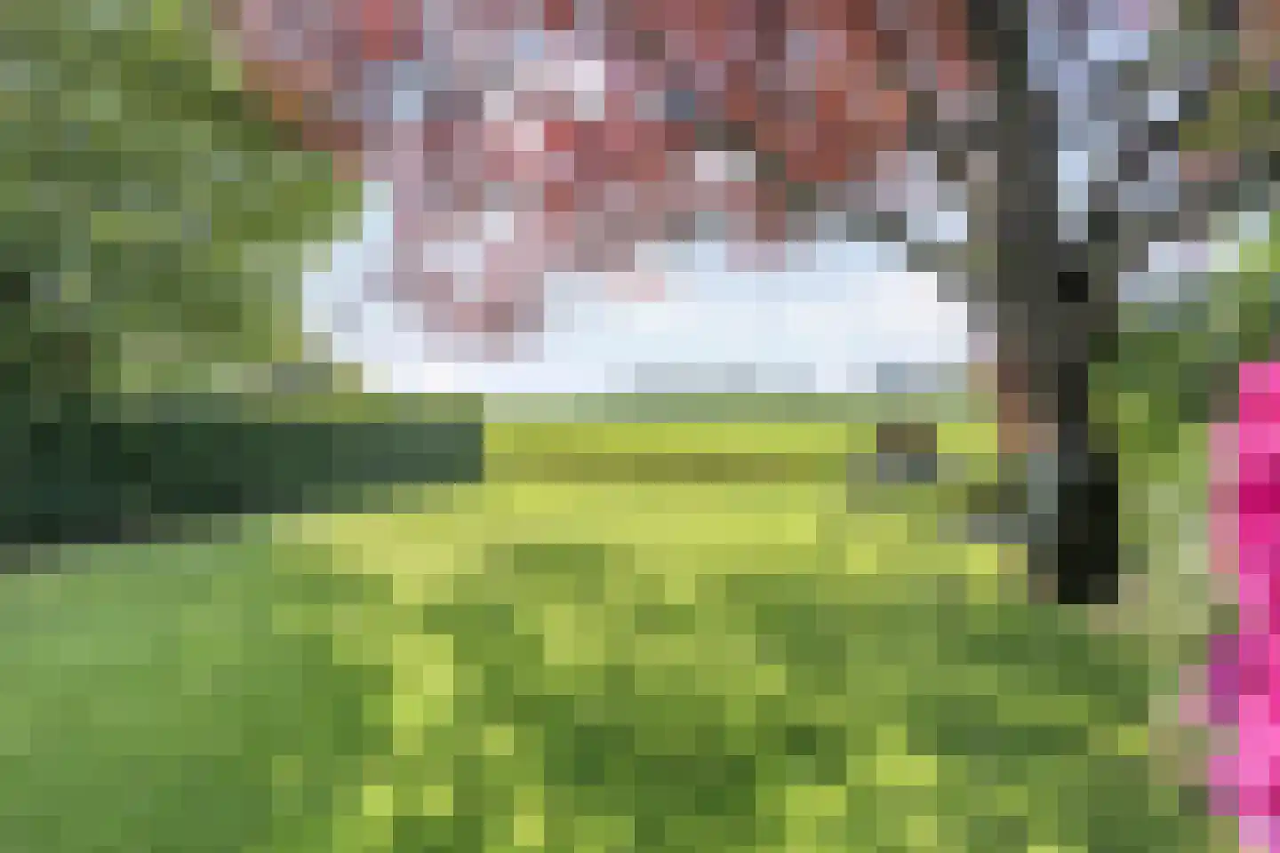 Pieter Jochemswal 10 Ruinerwold thumbnail 46