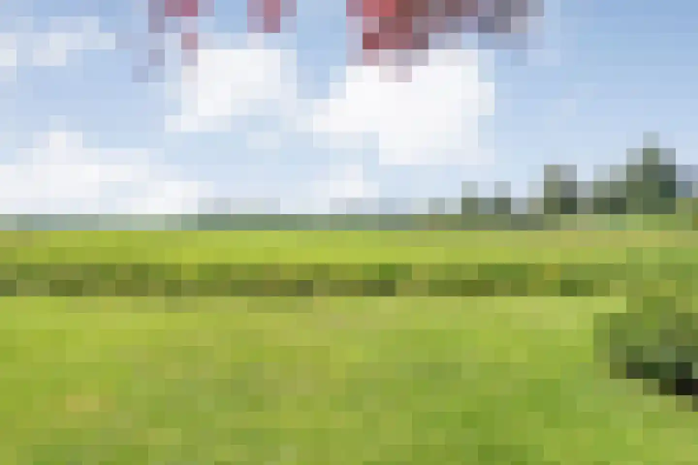 Pieter Jochemswal 10 Ruinerwold thumbnail 47