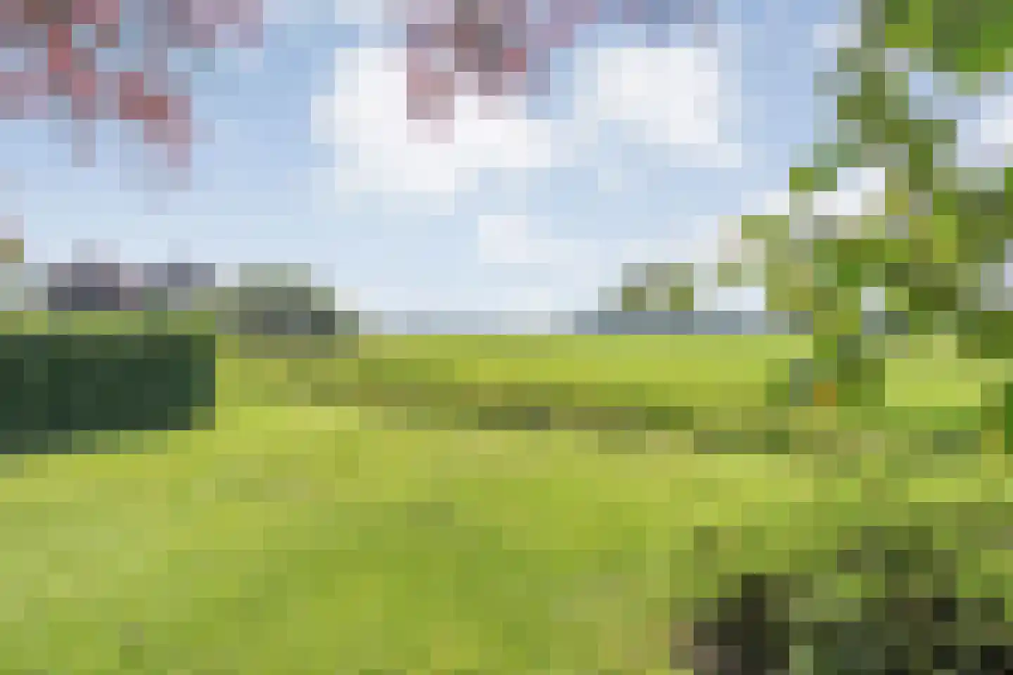 Pieter Jochemswal 10 Ruinerwold thumbnail 48