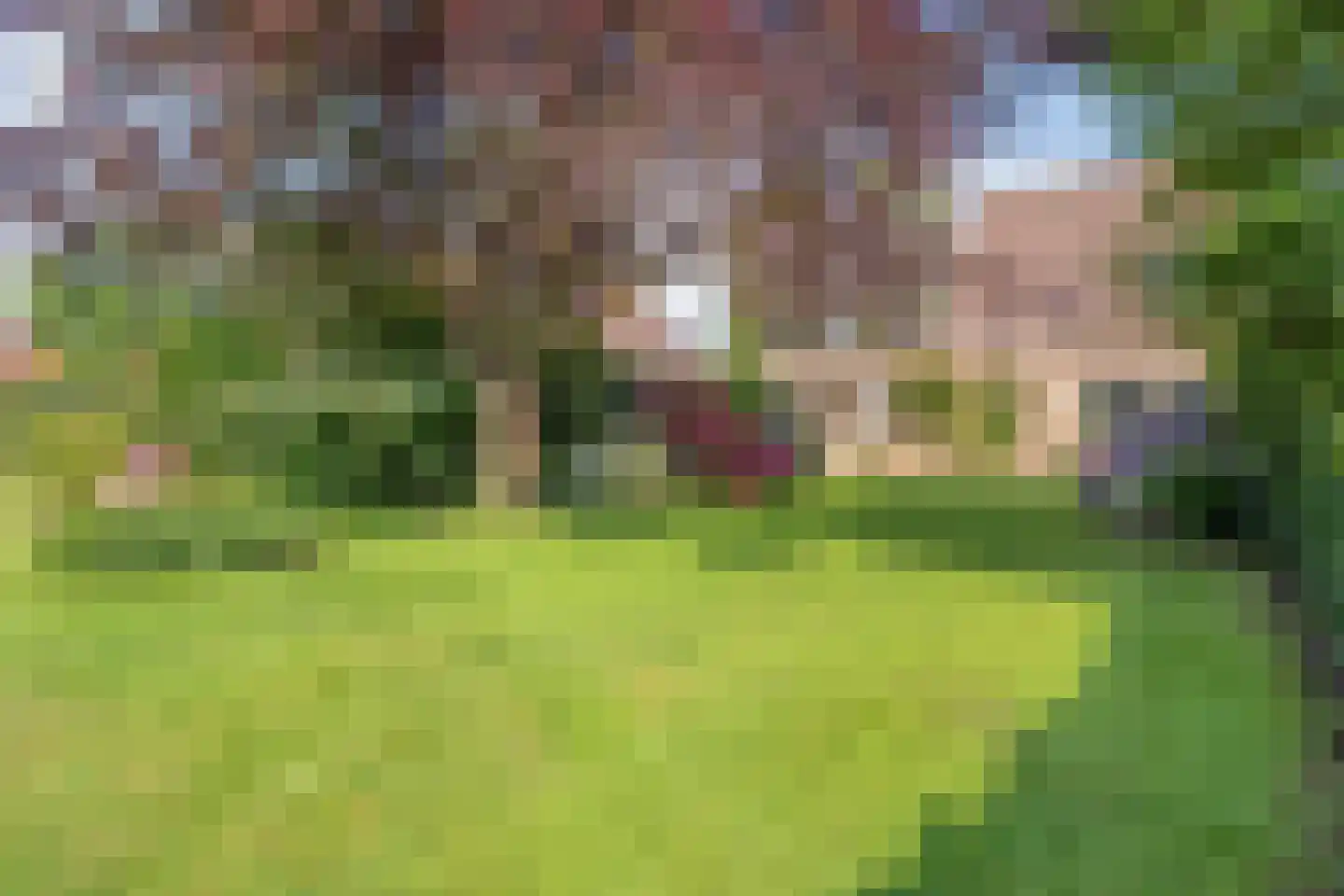Pieter Jochemswal 10 Ruinerwold thumbnail 49