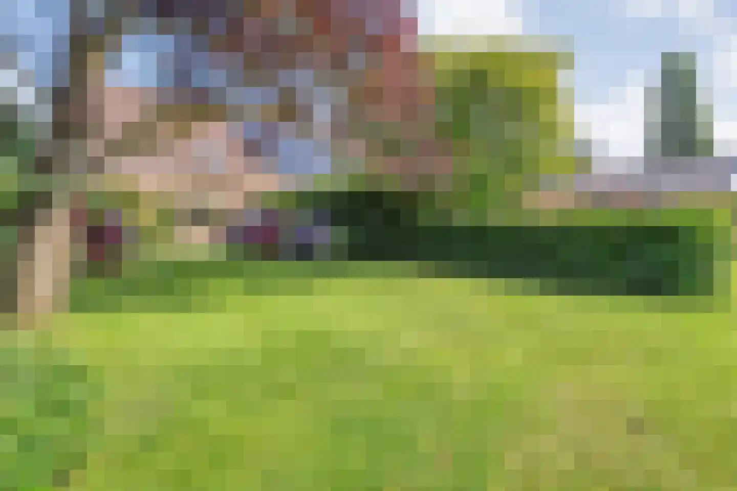 Pieter Jochemswal 10 Ruinerwold thumbnail 50