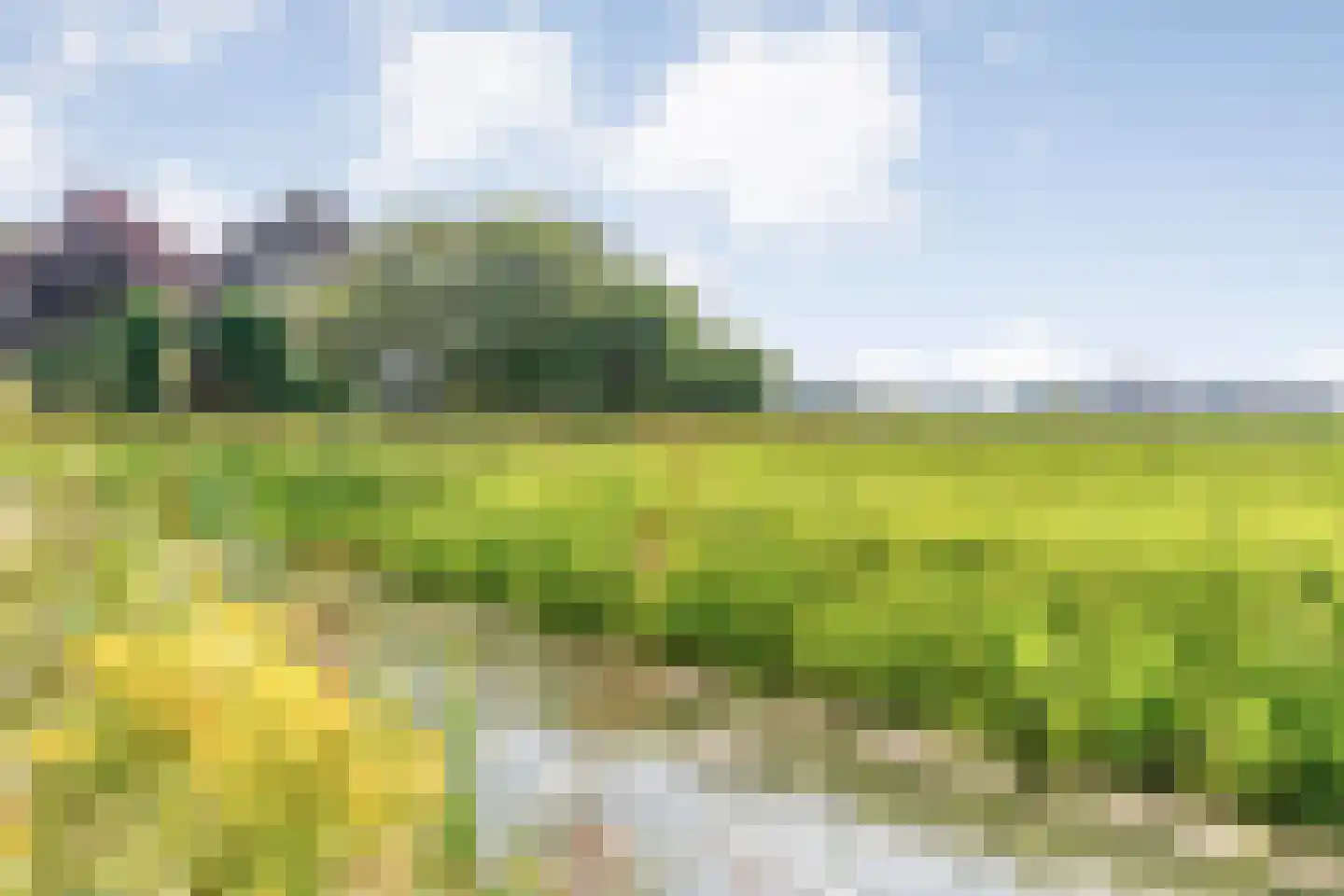 Pieter Jochemswal 10 Ruinerwold thumbnail 51