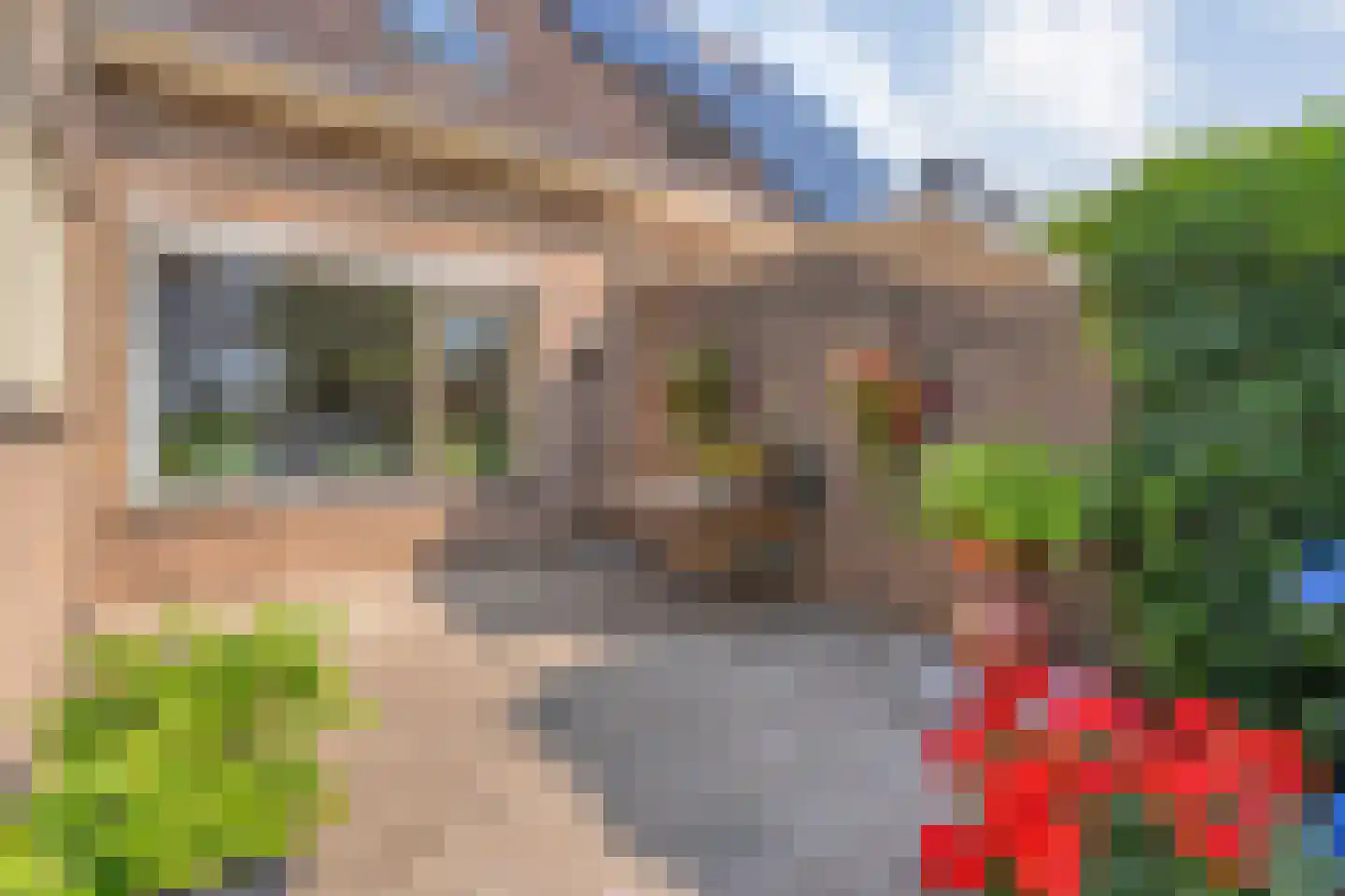Pieter Jochemswal 10 Ruinerwold thumbnail 53