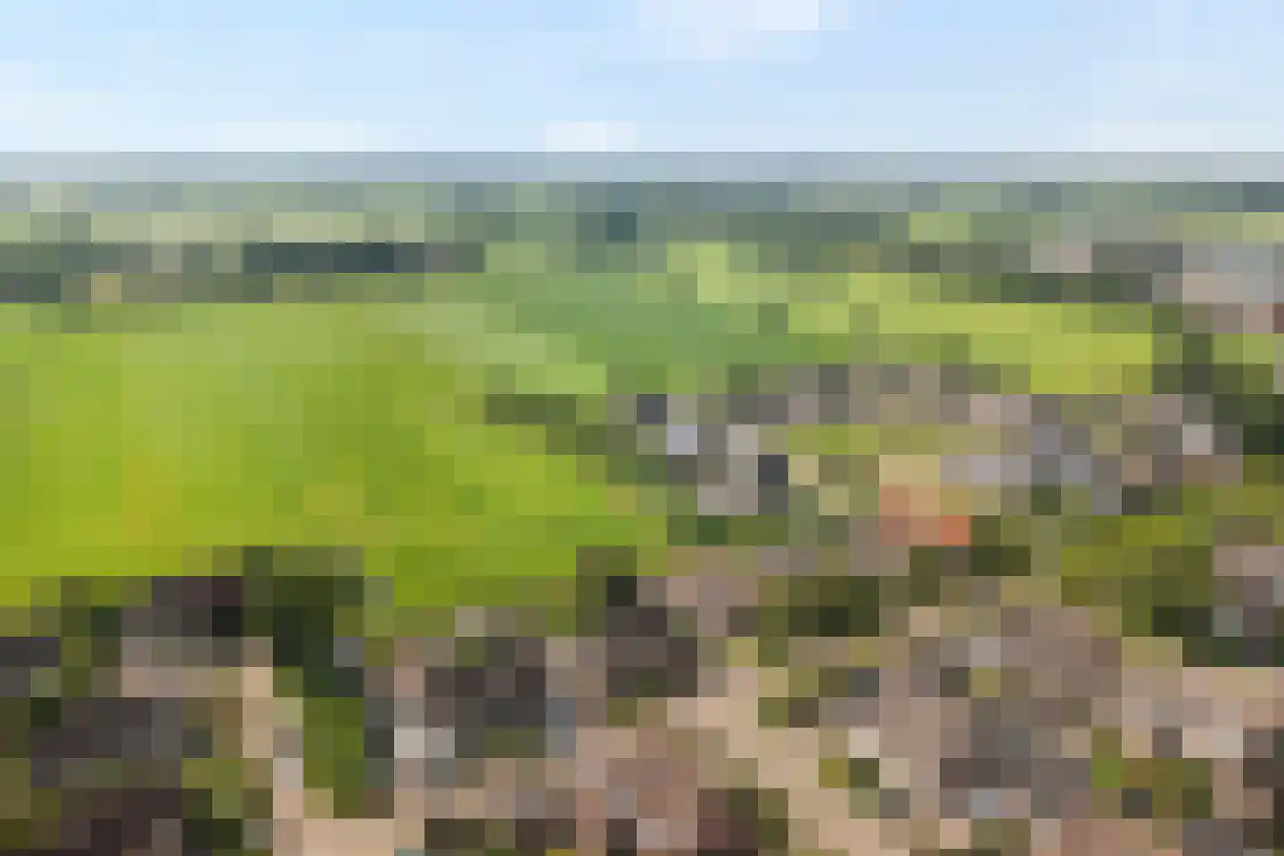 Pieter Jochemswal 10 Ruinerwold thumbnail 61