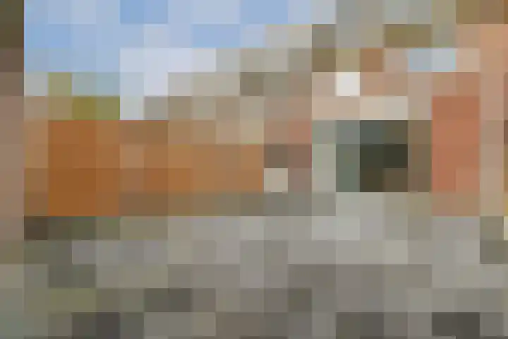 Pieter Johan Tijkenstraat 13 Poortugaal thumbnail 15