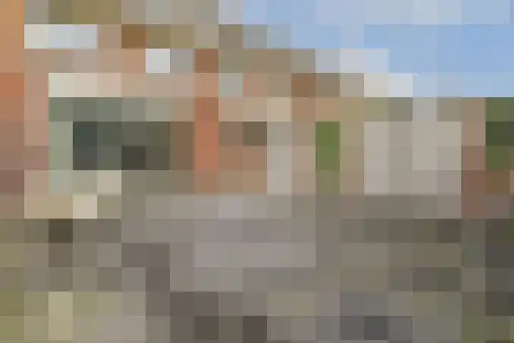Pieter Johan Tijkenstraat 13 Poortugaal thumbnail 5