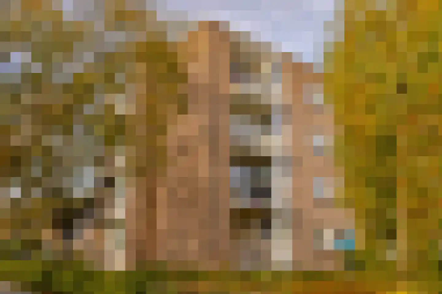 Pieter Keijlaan 8 Bloemendaal thumbnail 27