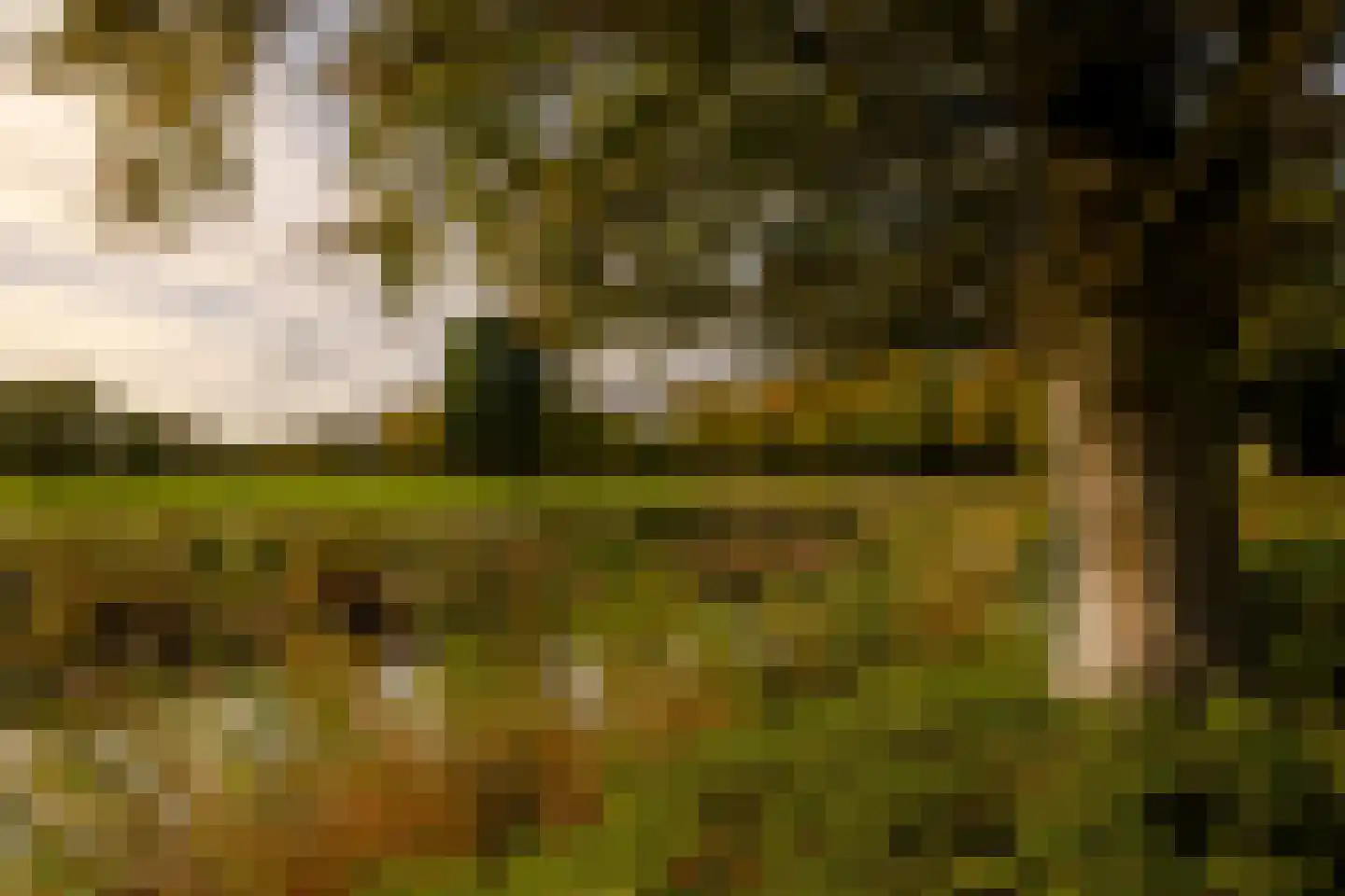 Pieter Keijlaan 8 Bloemendaal thumbnail 33