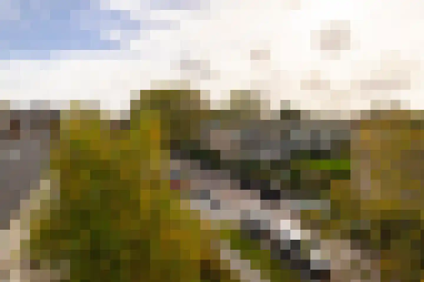 Pieter Keijlaan 8 Bloemendaal thumbnail 7