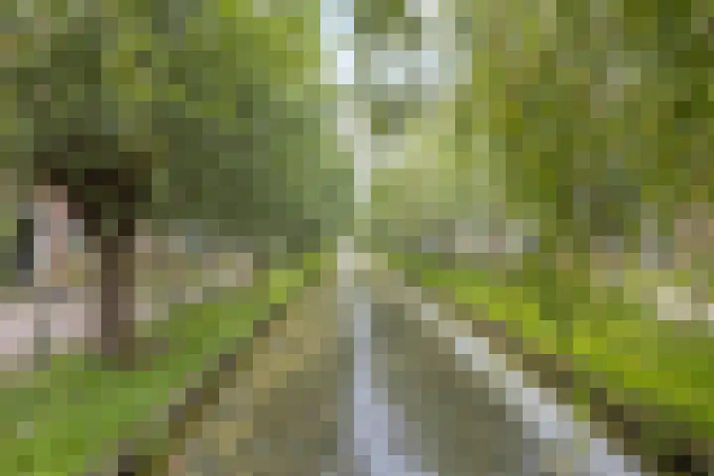 Pieter Keukenstraat 8 Volendam thumbnail 33