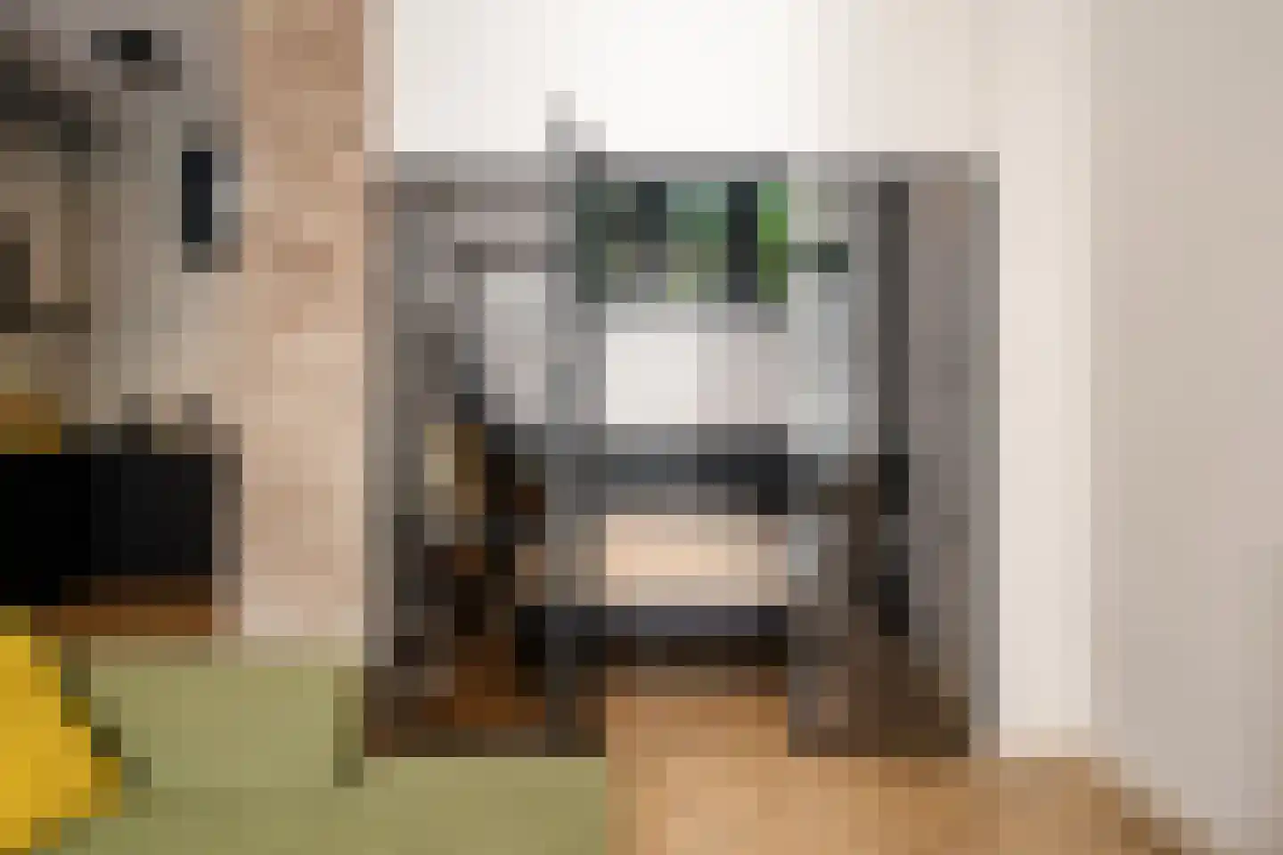 Pieter Kiesstraat 2 B ZW Haarlem thumbnail 17
