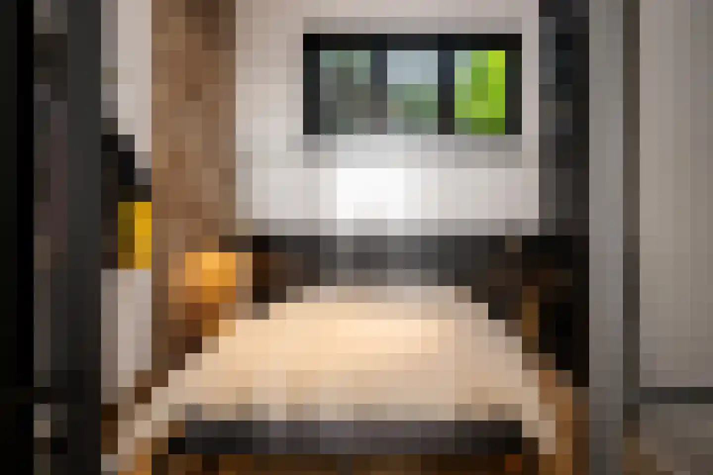 Pieter Kiesstraat 2 B ZW Haarlem thumbnail 18