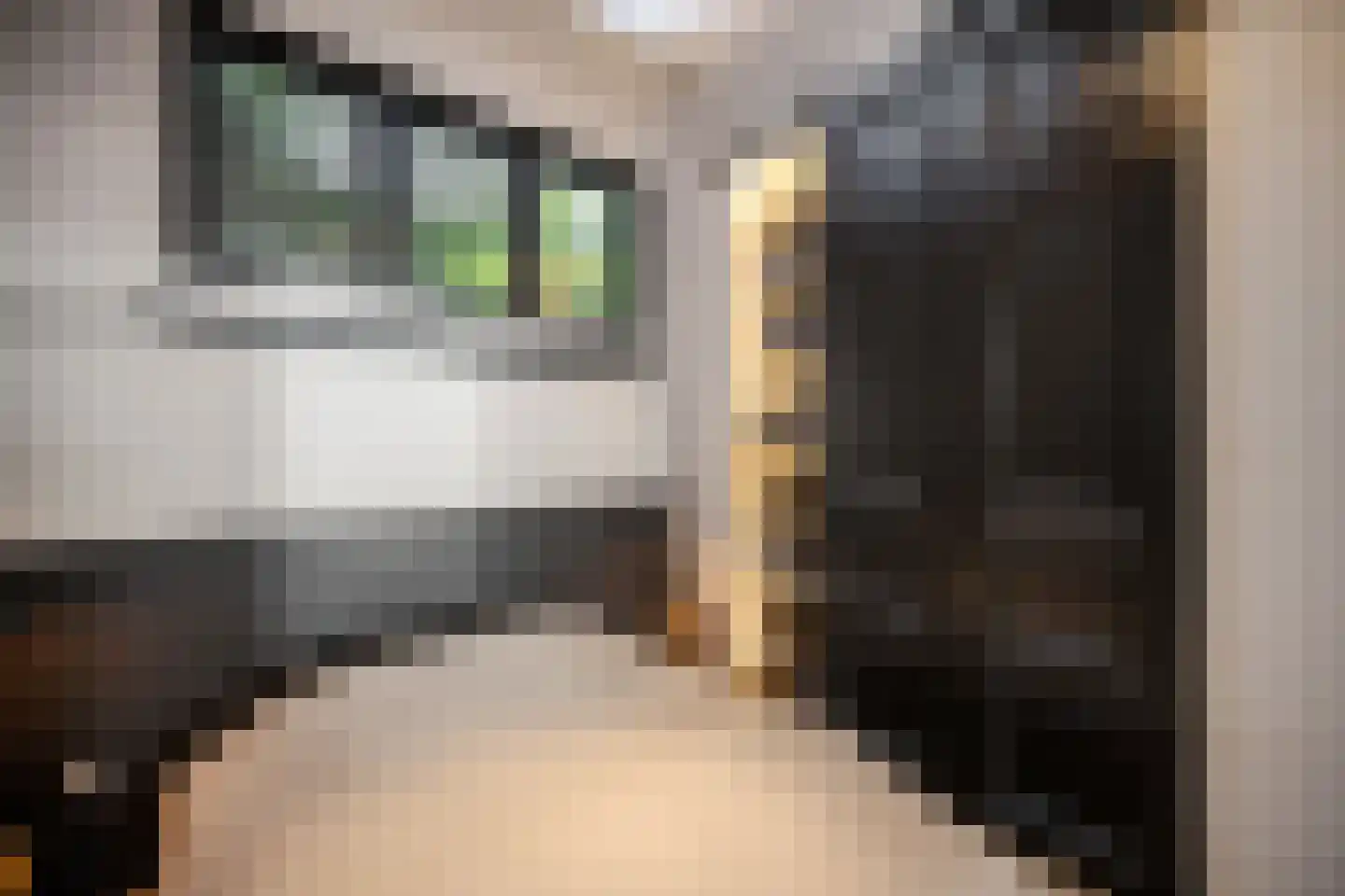 Pieter Kiesstraat 2 B ZW Haarlem thumbnail 20