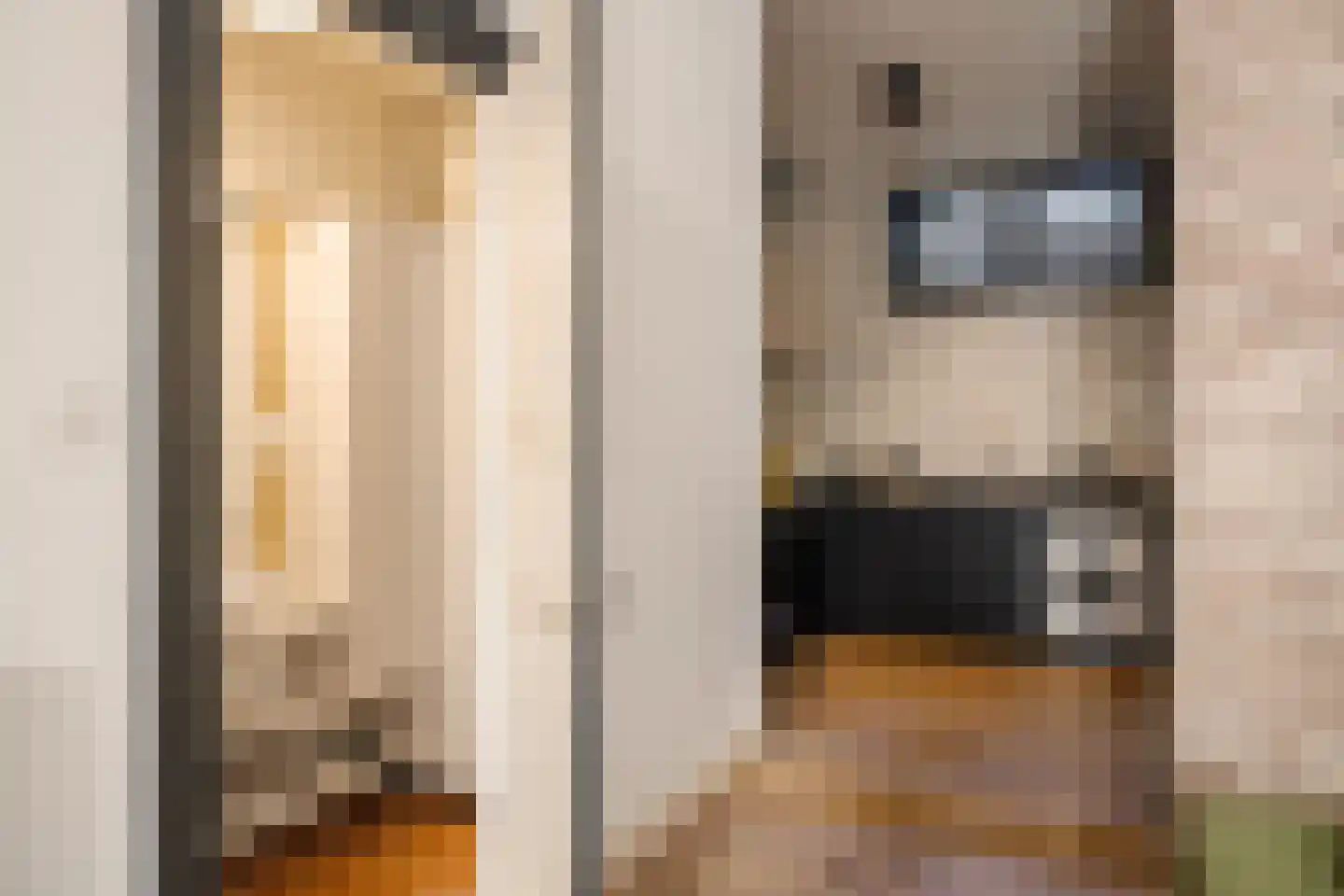 Pieter Kiesstraat 2 B ZW Haarlem thumbnail 23
