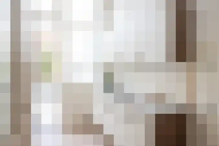 Pieter Kiesstraat 46 Haarlem thumbnail 25