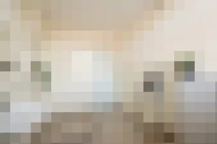 Pieter Kiesstraat 46 Haarlem thumbnail 32