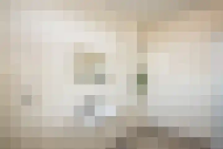Pieter Kiesstraat 46 Haarlem thumbnail 34