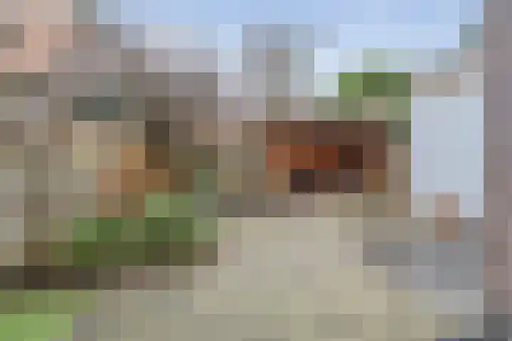 Pieter Kiesstraat 60 Haarlem thumbnail 18