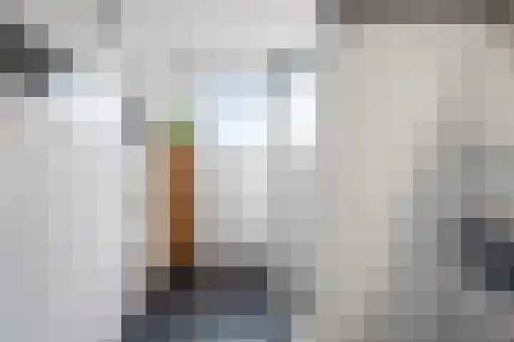 Pieter Kiesstraat 60 Haarlem thumbnail 33
