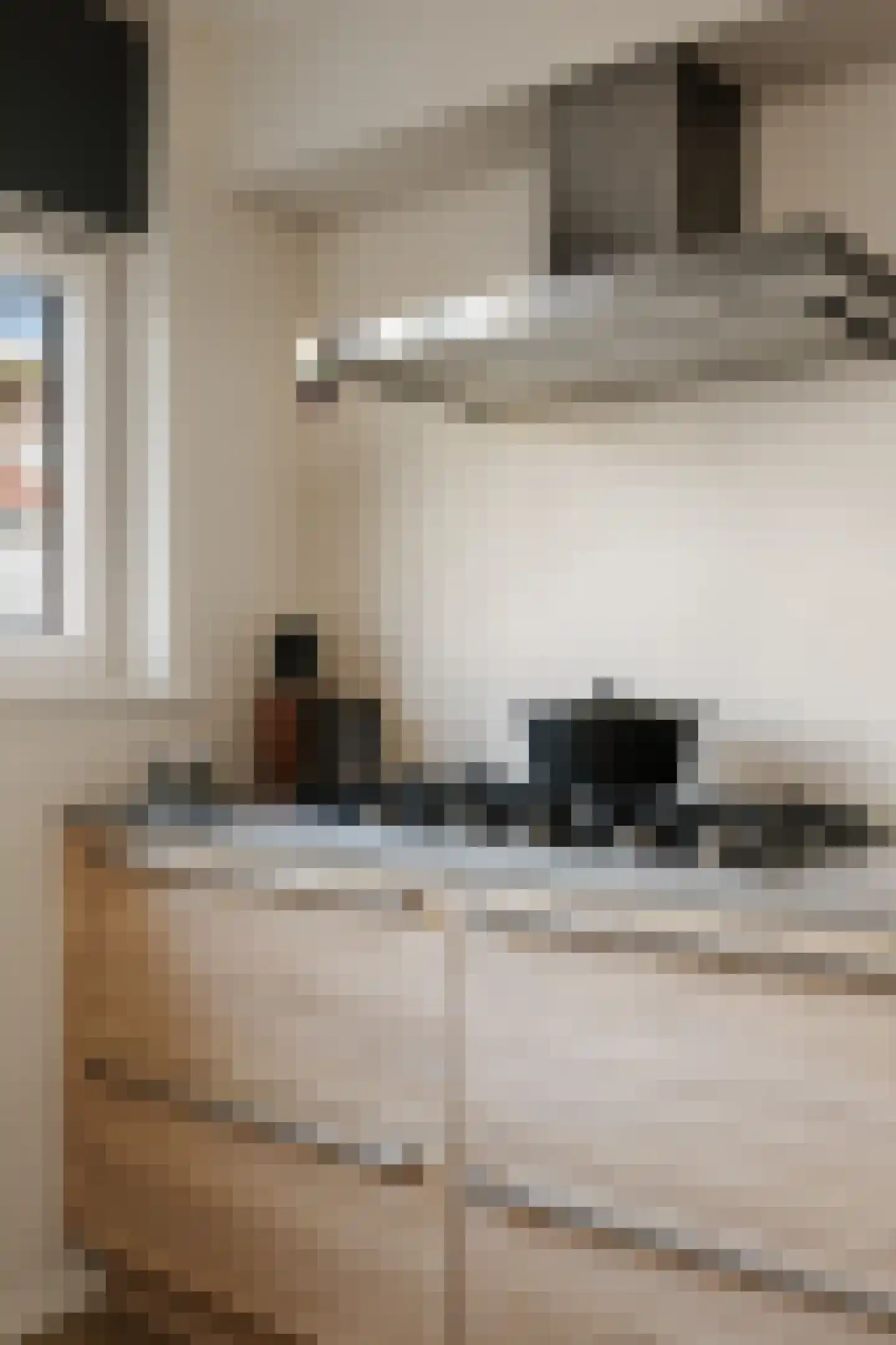 Pieter Klaarhamerstraat 46 Deventer thumbnail 11