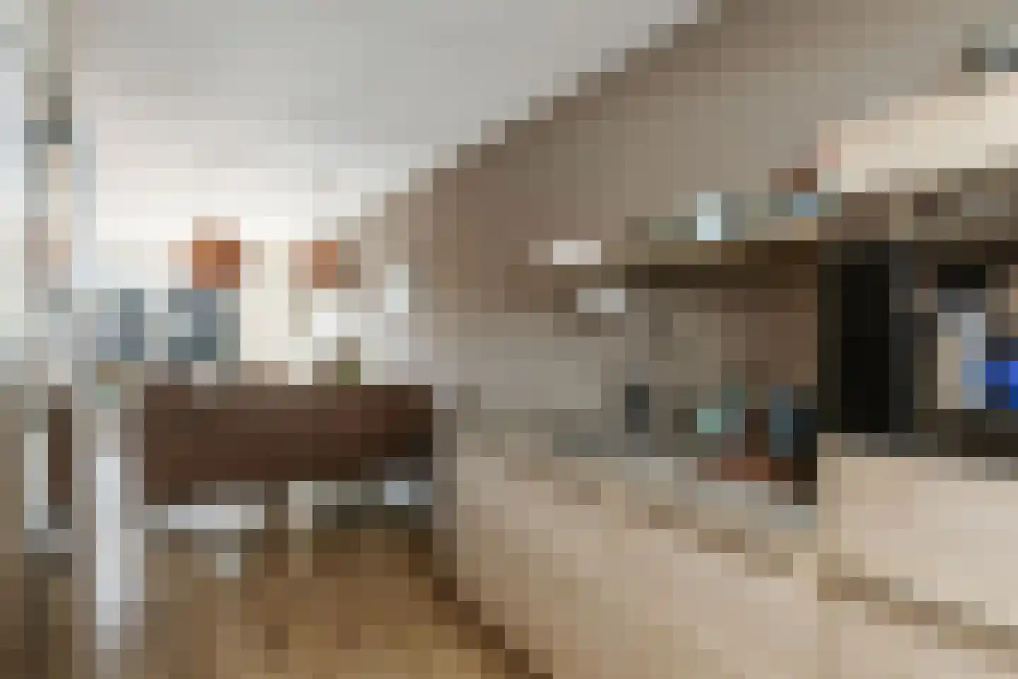 Pieter Klaarhamerstraat 46 Deventer thumbnail 13