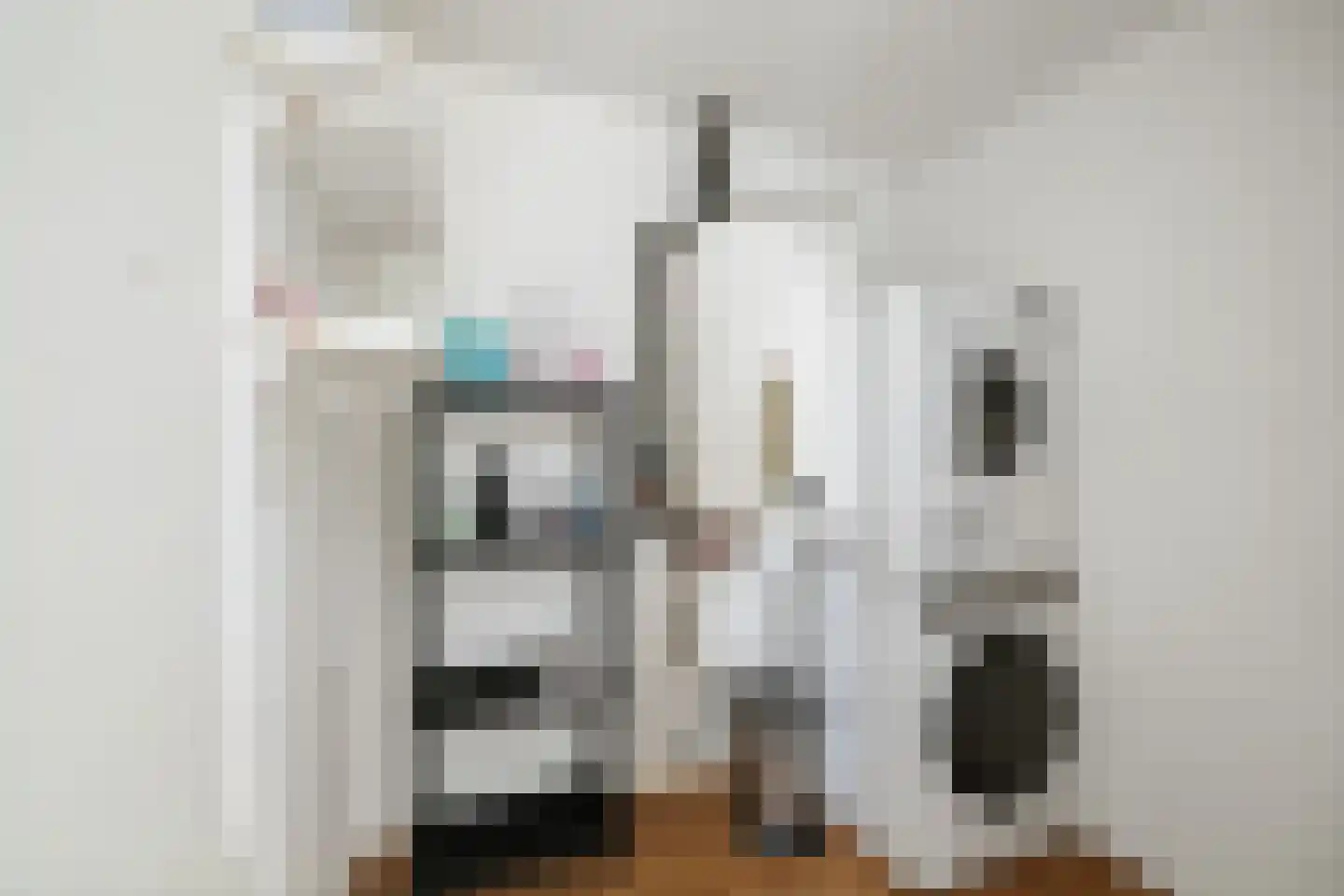 Pieter Klaarhamerstraat 46 Deventer thumbnail 27