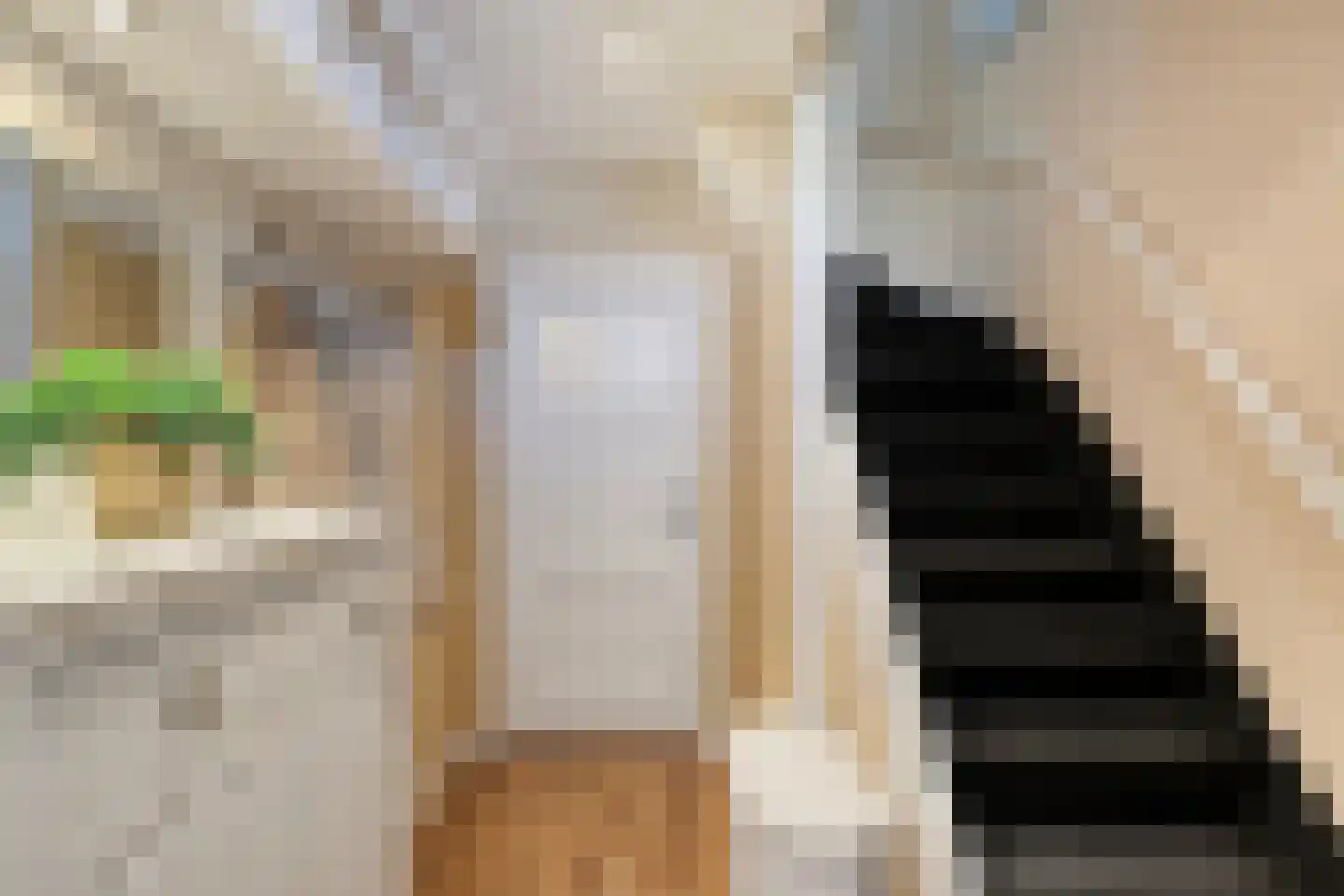 Pieter Kleijnstraat 19 Rosmalen thumbnail 14