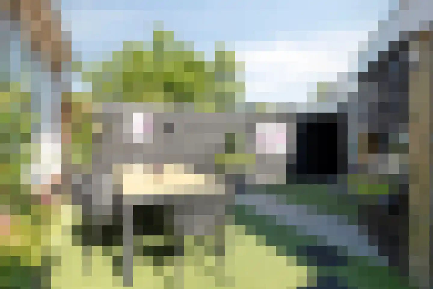 Pieter Kleijnstraat 19 Rosmalen thumbnail 34