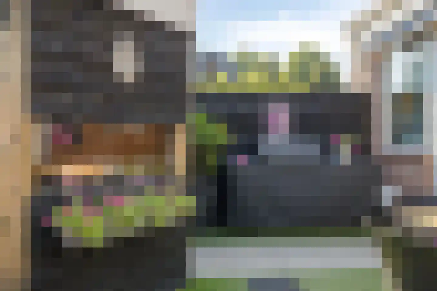 Pieter Kleijnstraat 19 Rosmalen thumbnail 35