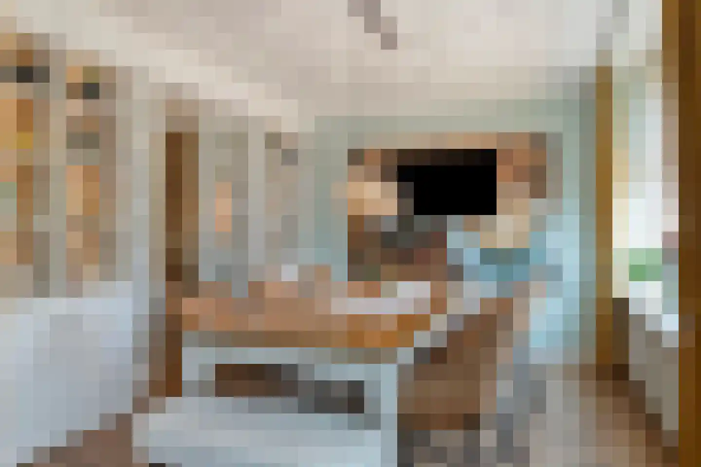 Pieter Kleijnstraat 19 Rosmalen thumbnail 4