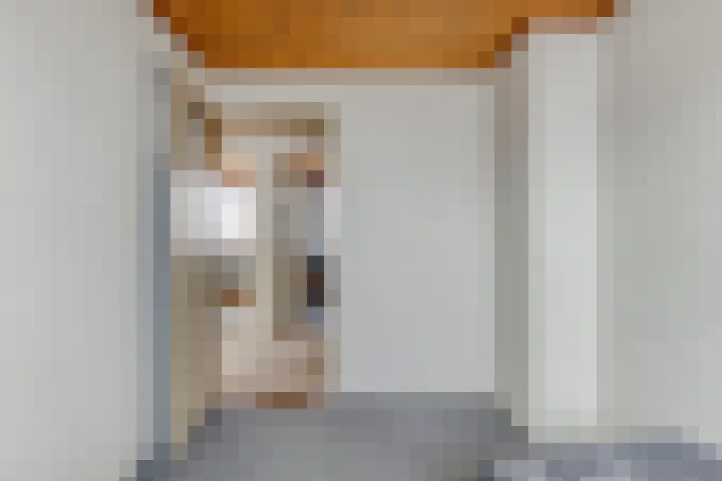 Pieter Kleijnstraat 24 Rosmalen thumbnail 22