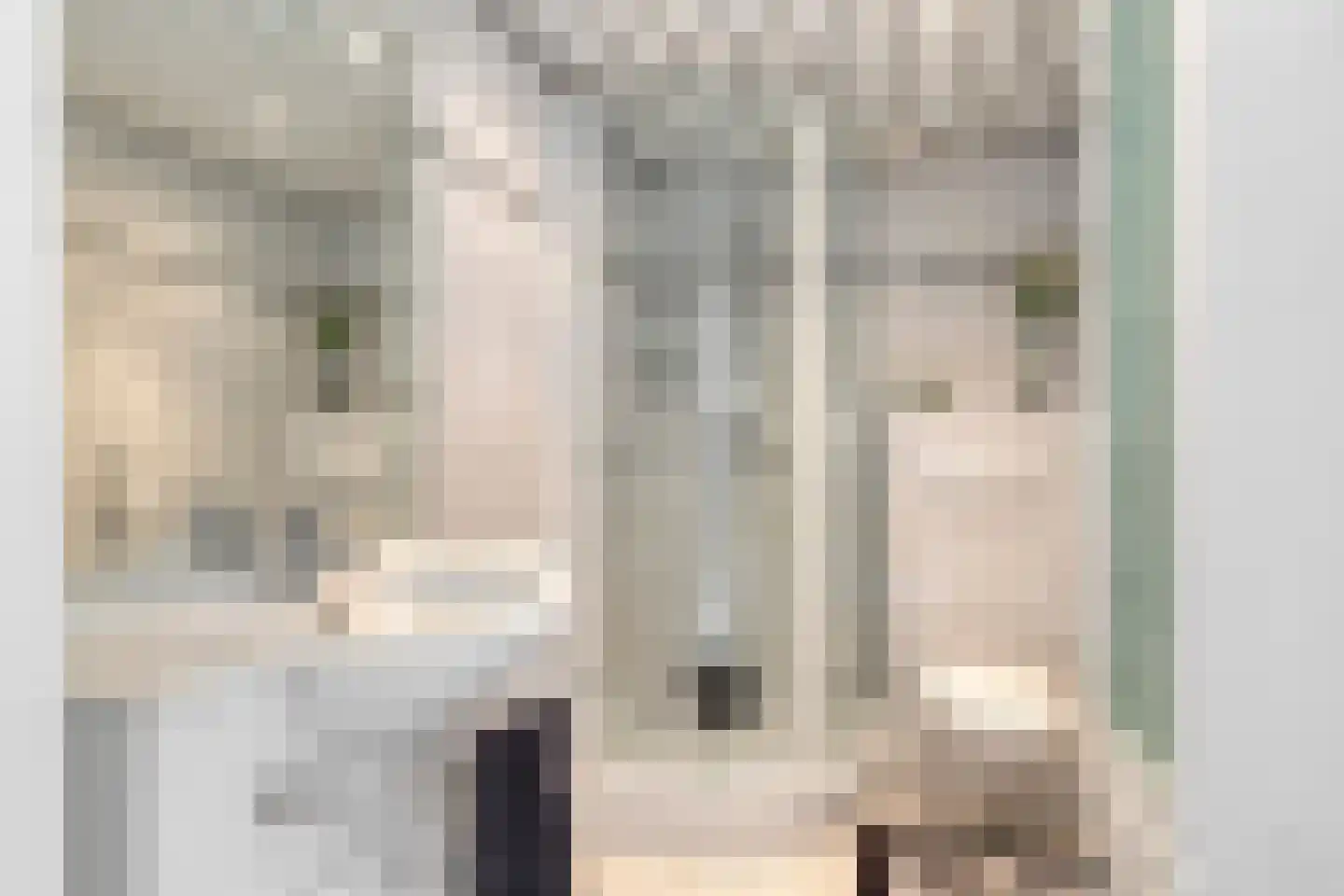 Pieter Kleijnstraat 24 Rosmalen thumbnail 23