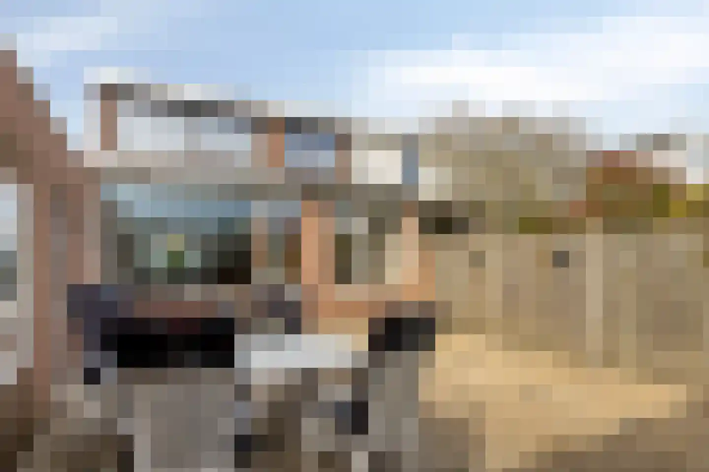 Pieter Kleijnstraat 24 Rosmalen thumbnail 26