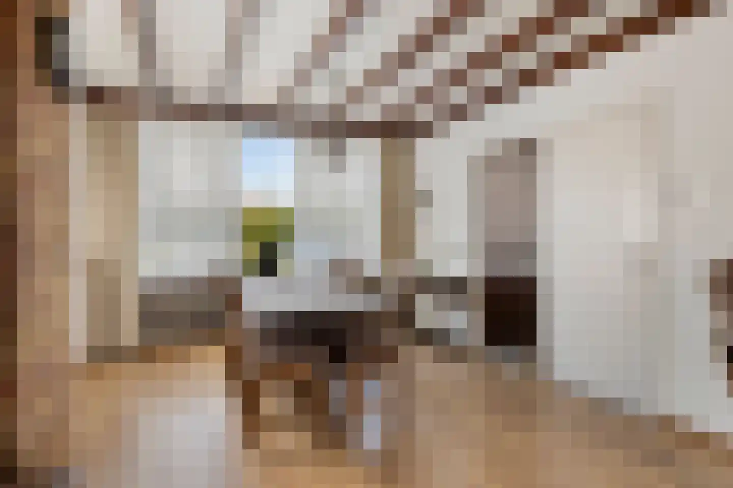 Pieter Kleijnstraat 24 Rosmalen thumbnail 5