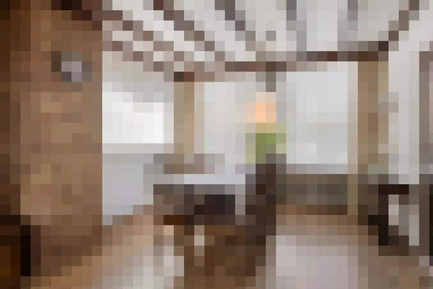 Pieter Kleijnstraat 24 Rosmalen thumbnail 6