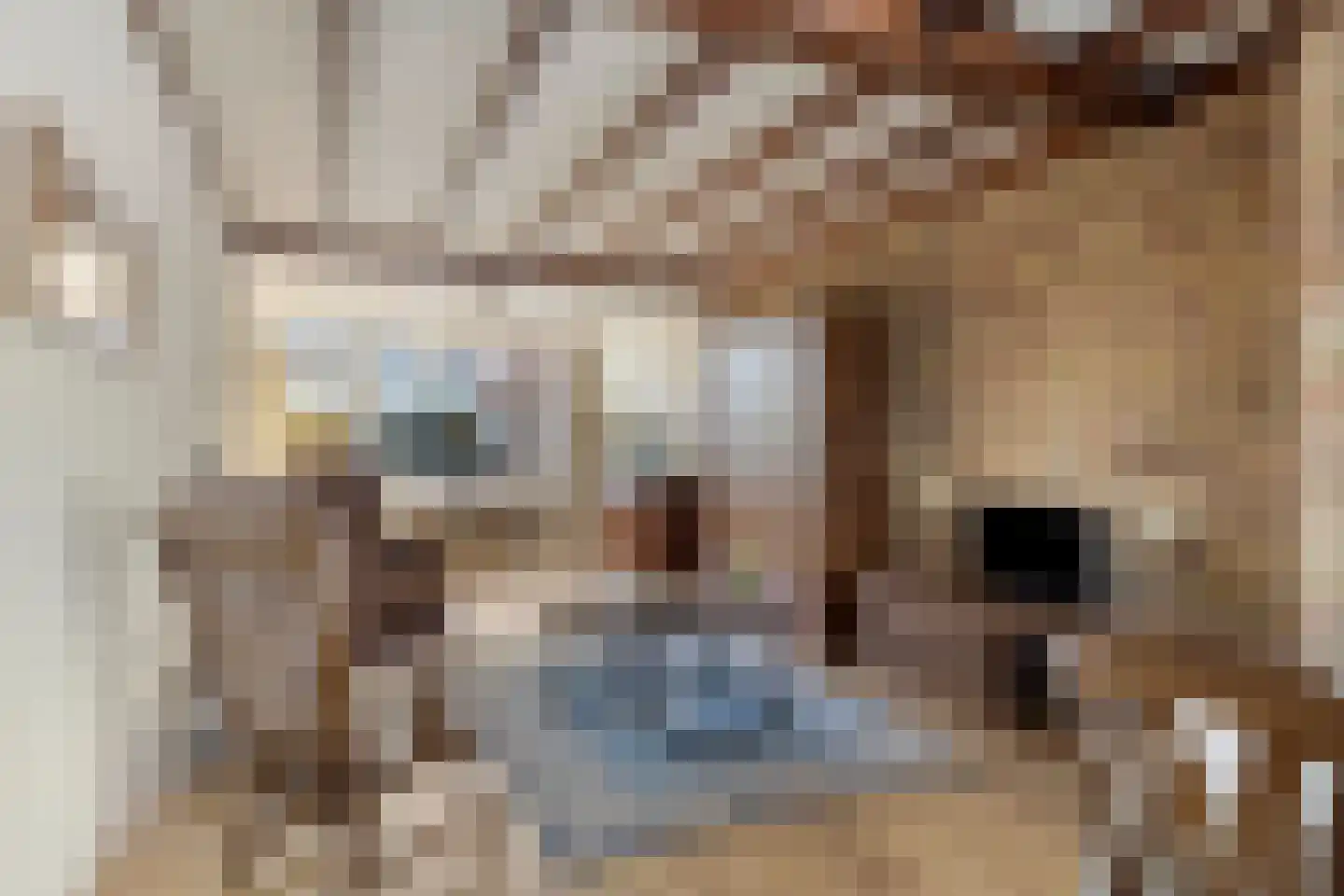 Pieter Kleijnstraat 24 Rosmalen thumbnail 7