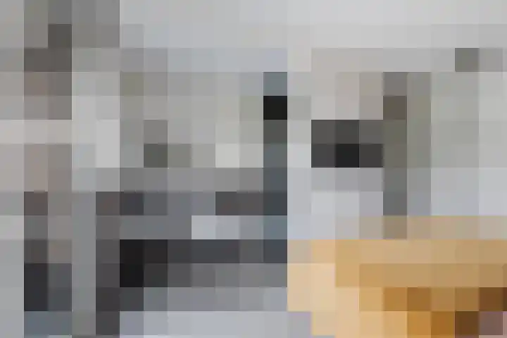 Pieter Klobbaertlaan 4 a Poortugaal thumbnail 14