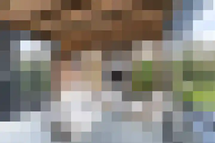 Pieter Klobbaertlaan 4 a Poortugaal thumbnail 51