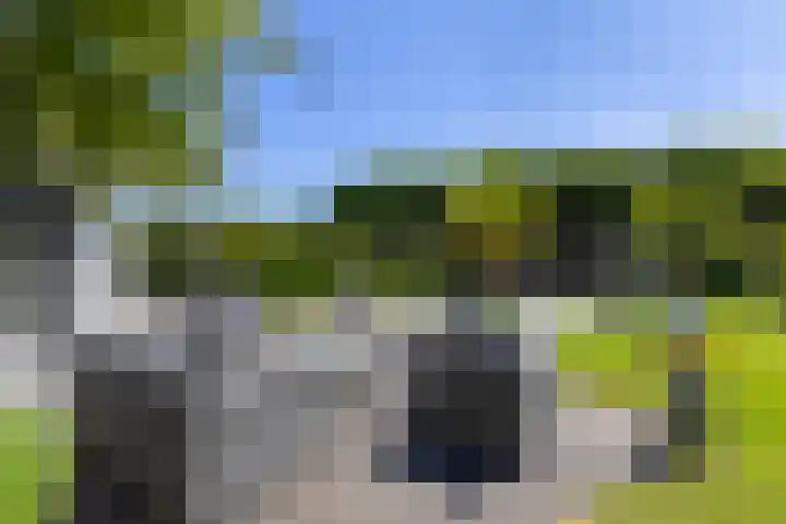 Pieter Klobbaertlaan 4 a Poortugaal thumbnail 61