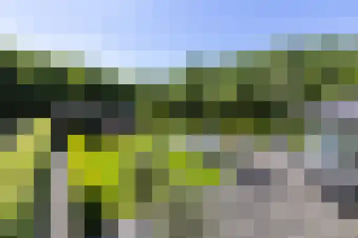 Pieter Klobbaertlaan 4 a Poortugaal thumbnail 67