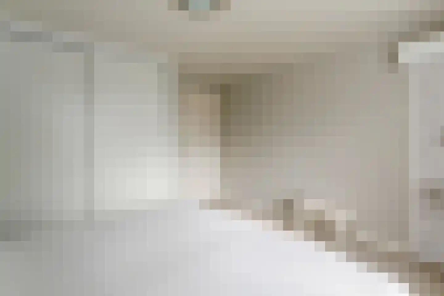 Pieter Koppesstraat 22 Spierdijk thumbnail 35