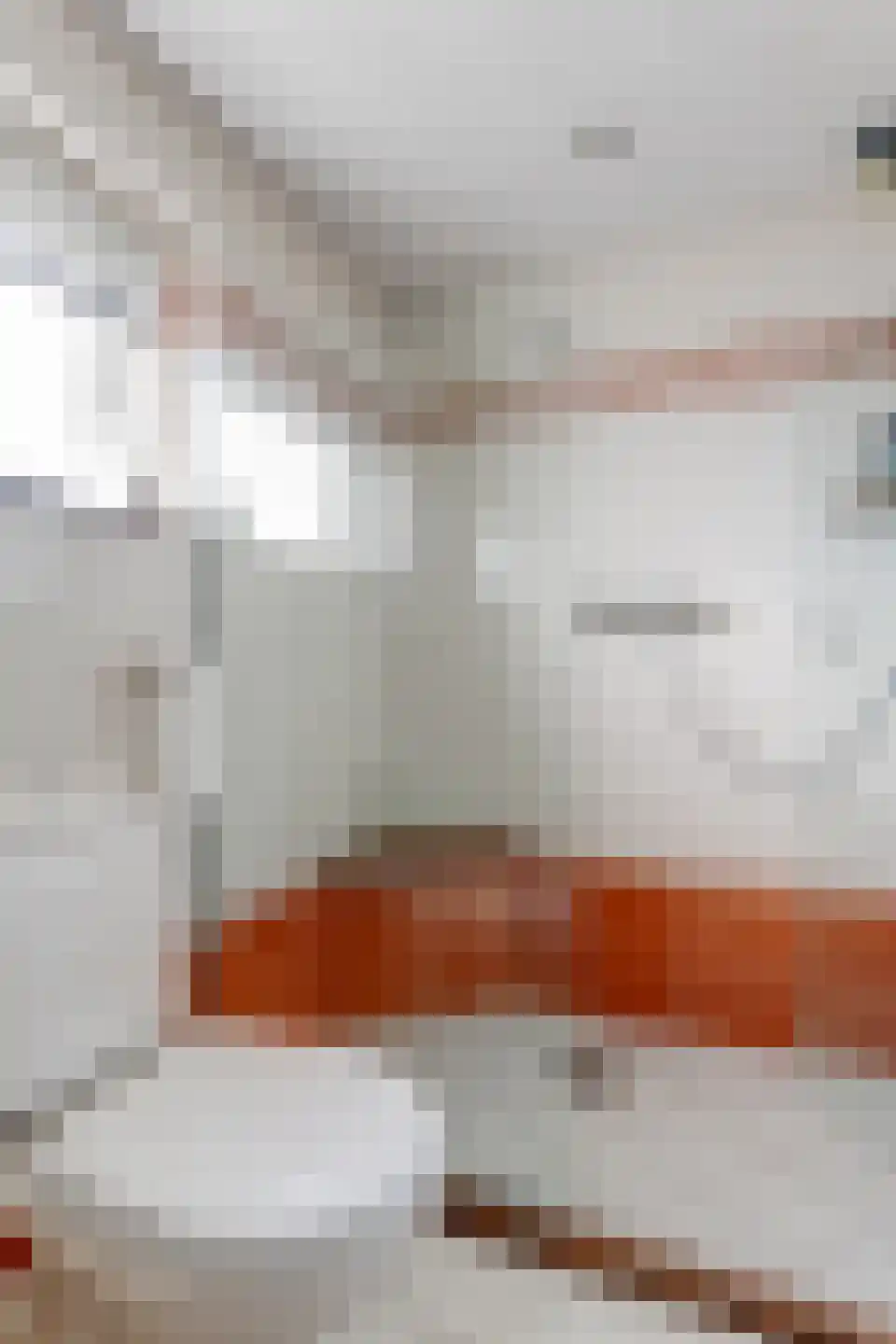 Pieter Koppesstraat 22 Spierdijk thumbnail 41